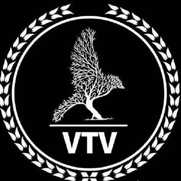 维特威VTV Logo