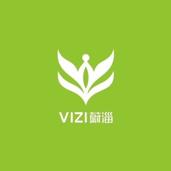 vizi蔚淄 logo